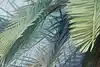 Thumbnail image 8