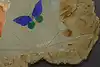 Thumbnail image 9
