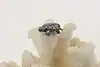 Thumbnail image 1