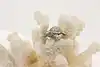 Thumbnail image 1