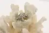 Thumbnail image 2