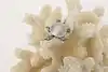 Thumbnail image 2