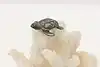 Thumbnail image 1