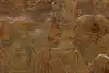 Thumbnail image 7