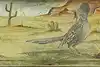Thumbnail image 21
