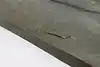 Thumbnail image 12