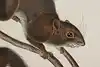 Thumbnail image 10