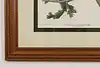 Thumbnail image 7