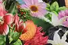 Thumbnail image 9