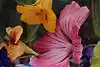 Thumbnail image 9