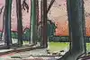Thumbnail image 7