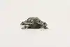 Thumbnail image 4