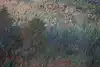 Thumbnail image 9