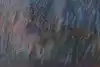 Thumbnail image 11