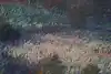Thumbnail image 8