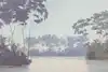 Thumbnail image 7