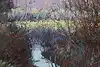 Thumbnail image 1