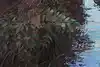 Thumbnail image 6