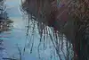 Thumbnail image 8