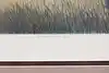 Thumbnail image 11