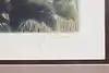 Thumbnail image 12
