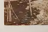 Thumbnail image 10