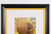 Thumbnail image 8