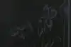 Thumbnail image 12