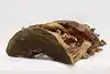 Thumbnail image 13
