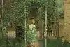 Thumbnail image 1
