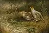 Thumbnail image 1