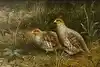 Thumbnail image 8