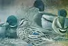 Thumbnail image 12