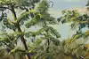 Thumbnail image 9