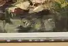 Thumbnail image 11