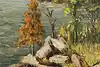 Thumbnail image 8