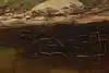 Thumbnail image 11