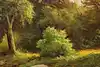 Thumbnail image 8
