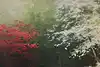 Thumbnail image 9
