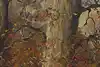 Thumbnail image 8