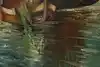 Thumbnail image 12