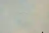 Thumbnail image 11