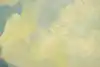 Thumbnail image 11