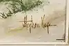 Thumbnail image 12