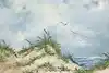 Thumbnail image 1