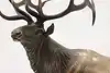 Thumbnail image 15