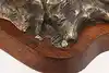 Thumbnail image 17