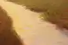 Thumbnail image 10