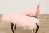 Thumbnail image 10