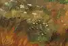 Thumbnail image 8